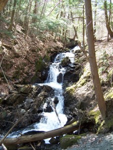 Allen brook