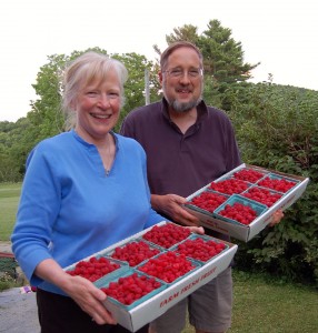 Larry and Susan Flaccus bring in the raspberries