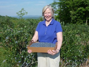 Susan picks blueberries