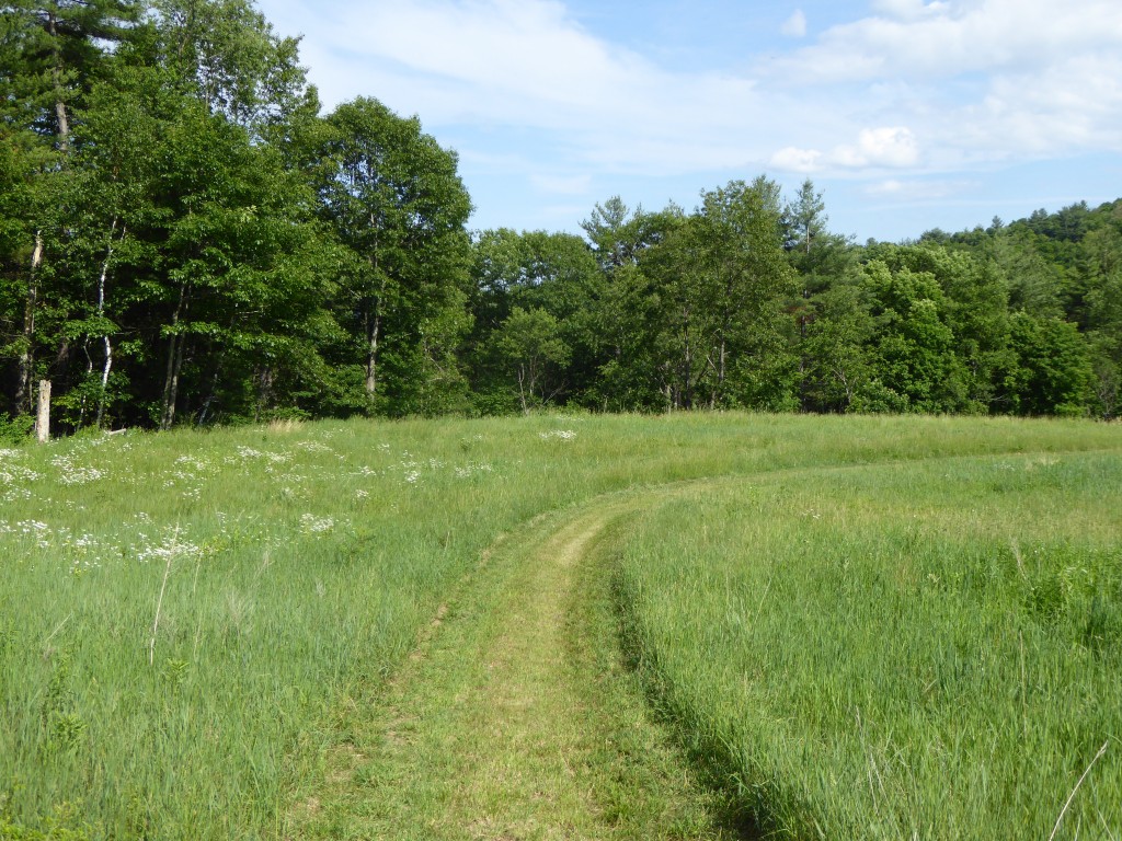 meadow road Kenburn Orchards
